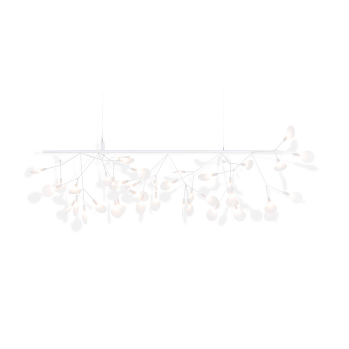 Moooi | Heracleum III Endless