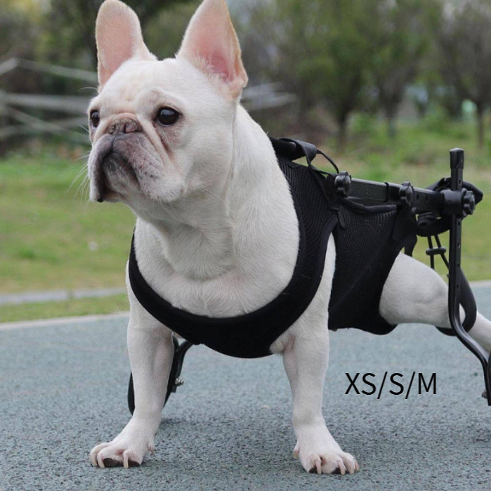 Lyftsele för husdjur Hundbärrem Fullt stöd Mångsidig Hundlyftrem Bärrem för upp och ner för trappor Hundpromenad