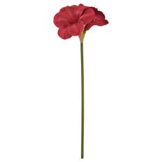 VINTERFINT konstgjord blomma, inom-/utomhus Amaryllis/röd, 60 cm