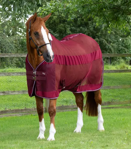Premier Equine Arisca Scrim Cooler - Burgundy - 6,9" (155cm)
