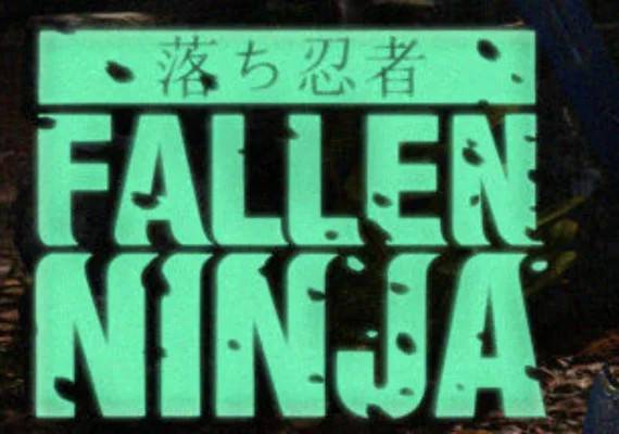Fallen Ninja (PC) Steam Key - GLOBAL