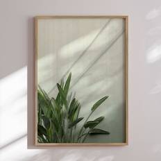 Plakat - Sunny Strelitzia Plakat - Str:70 x 100 Cm - Incado