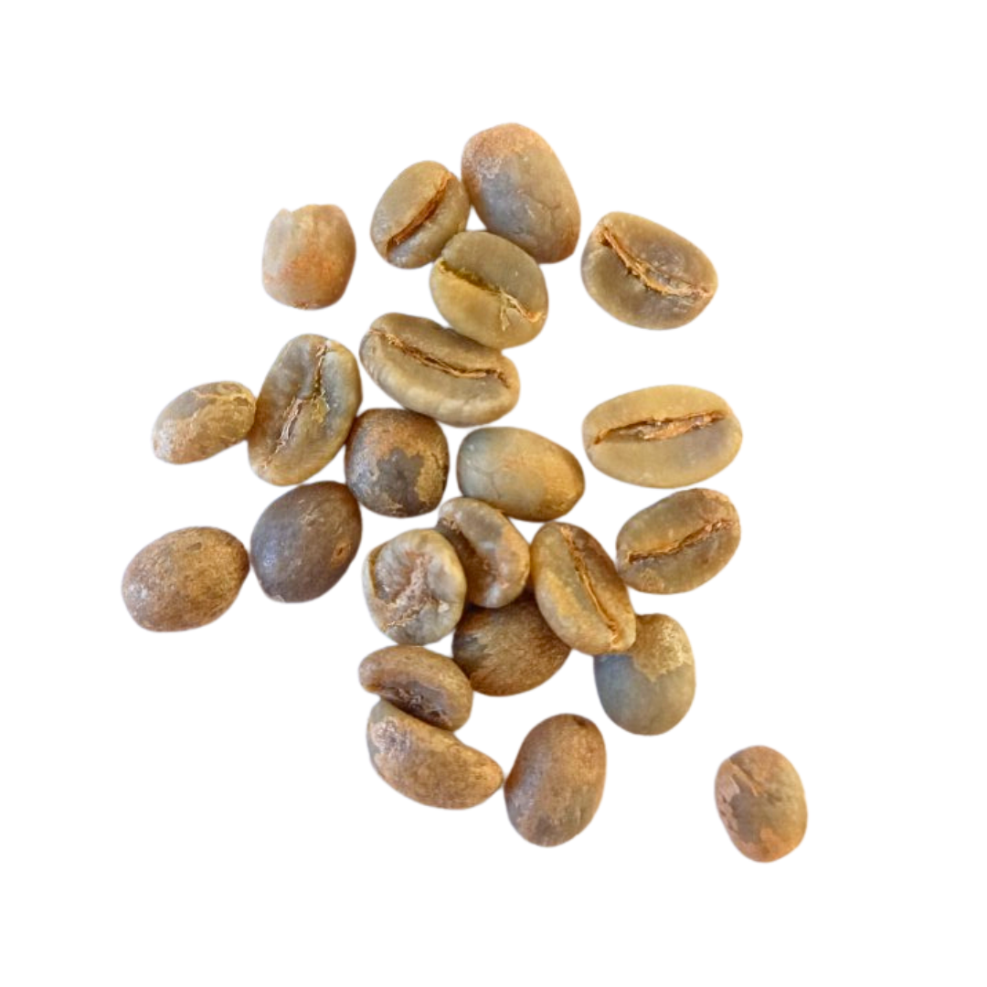 kaffeagenterne - Uganda Bugisu - rå bønner-10 kg. i hessiansæk