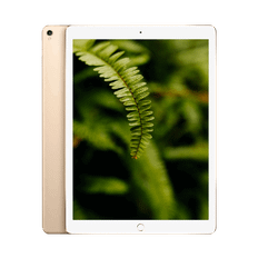 iPad Pro 2.Gen (2017) 12.9" WiFi