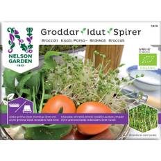 Nelson Garden Groddar - Broccoli