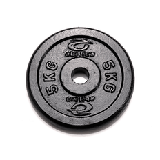 Viktskiva 25mm 5 kg