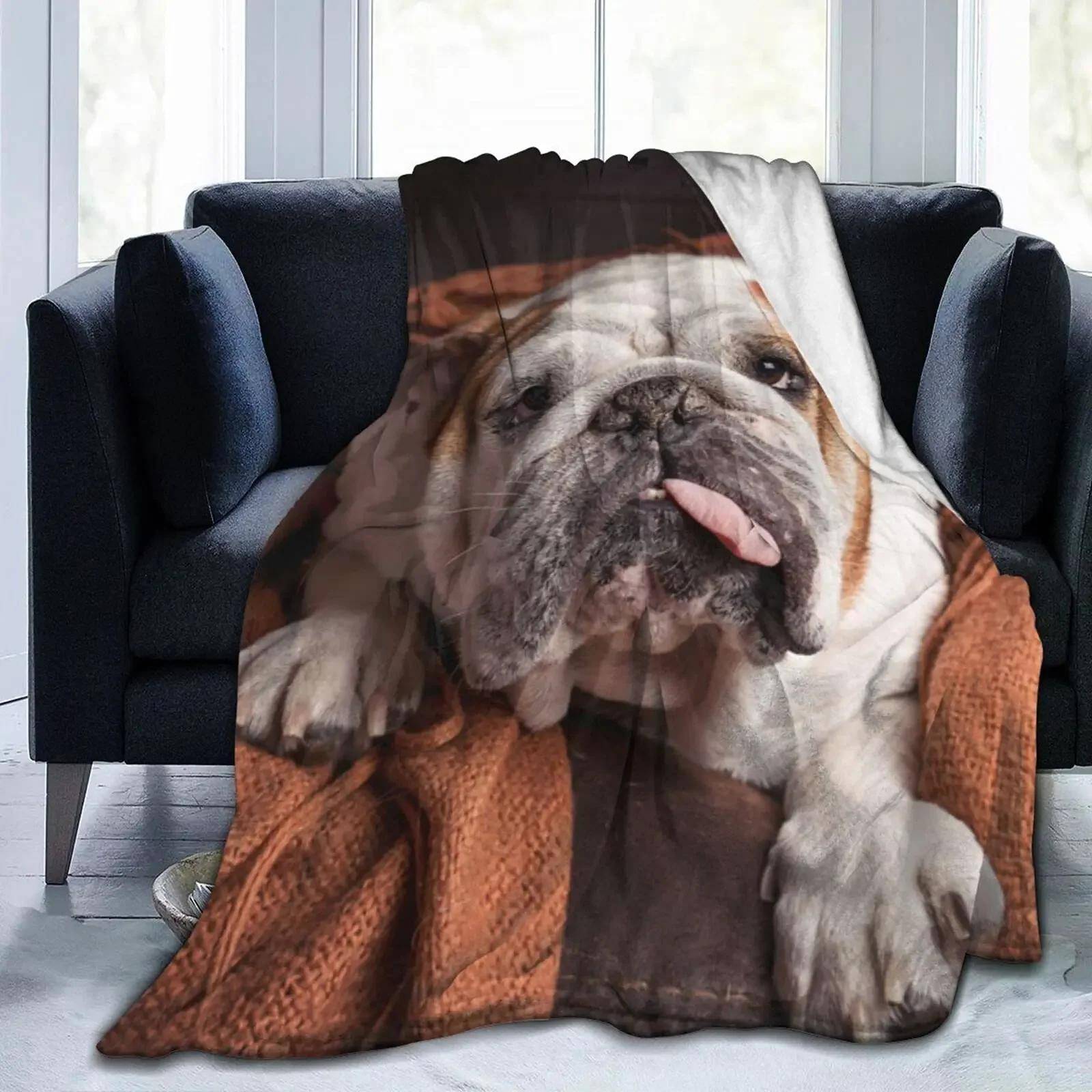 Engelsk Bulldog Fantastisk Rolig Bulldog Hundfiltar Korallfleece Vinter Lätt Tunn Pläd för Hem Kontor Matta Bit