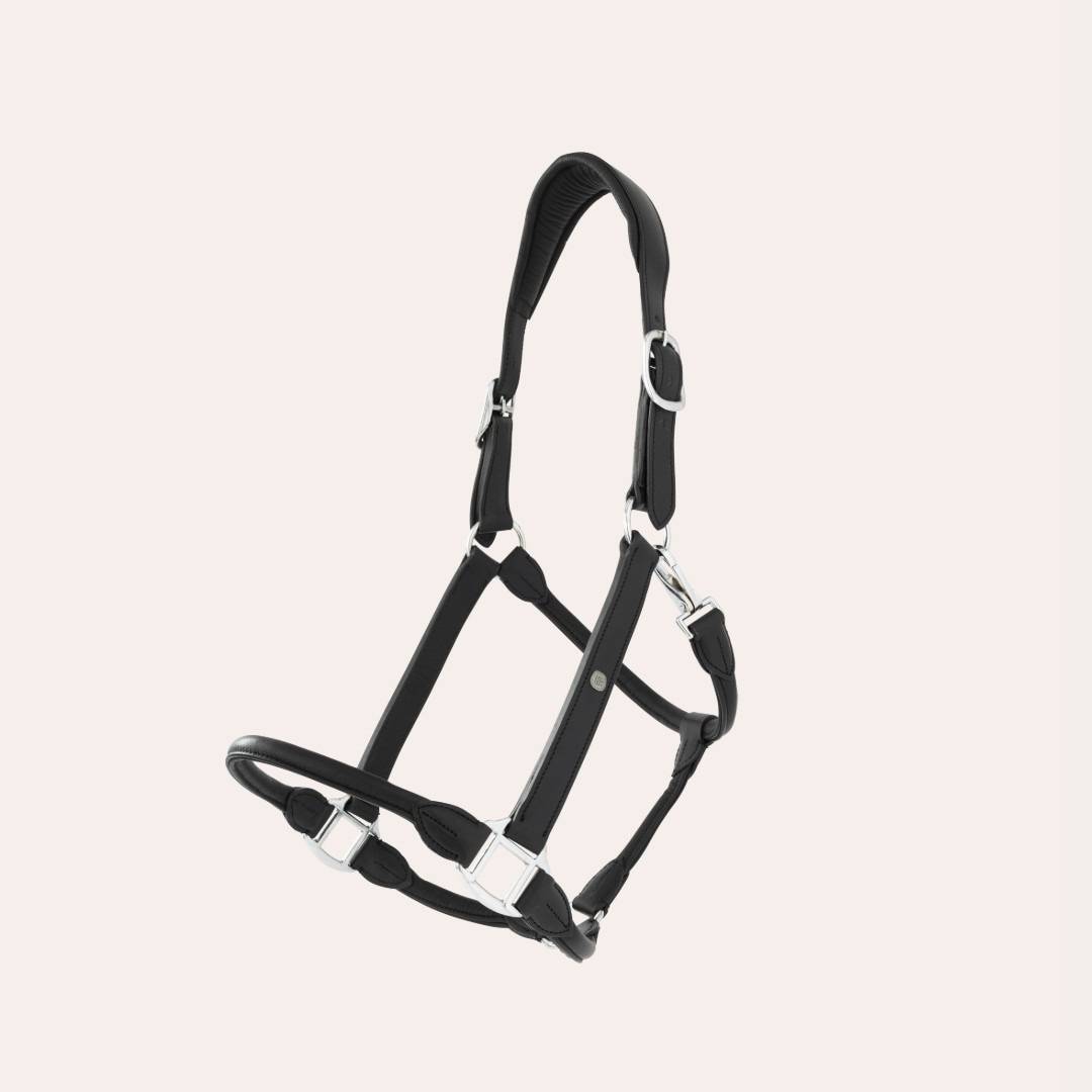 Lädergrimma Pompe Fairfield® Svart