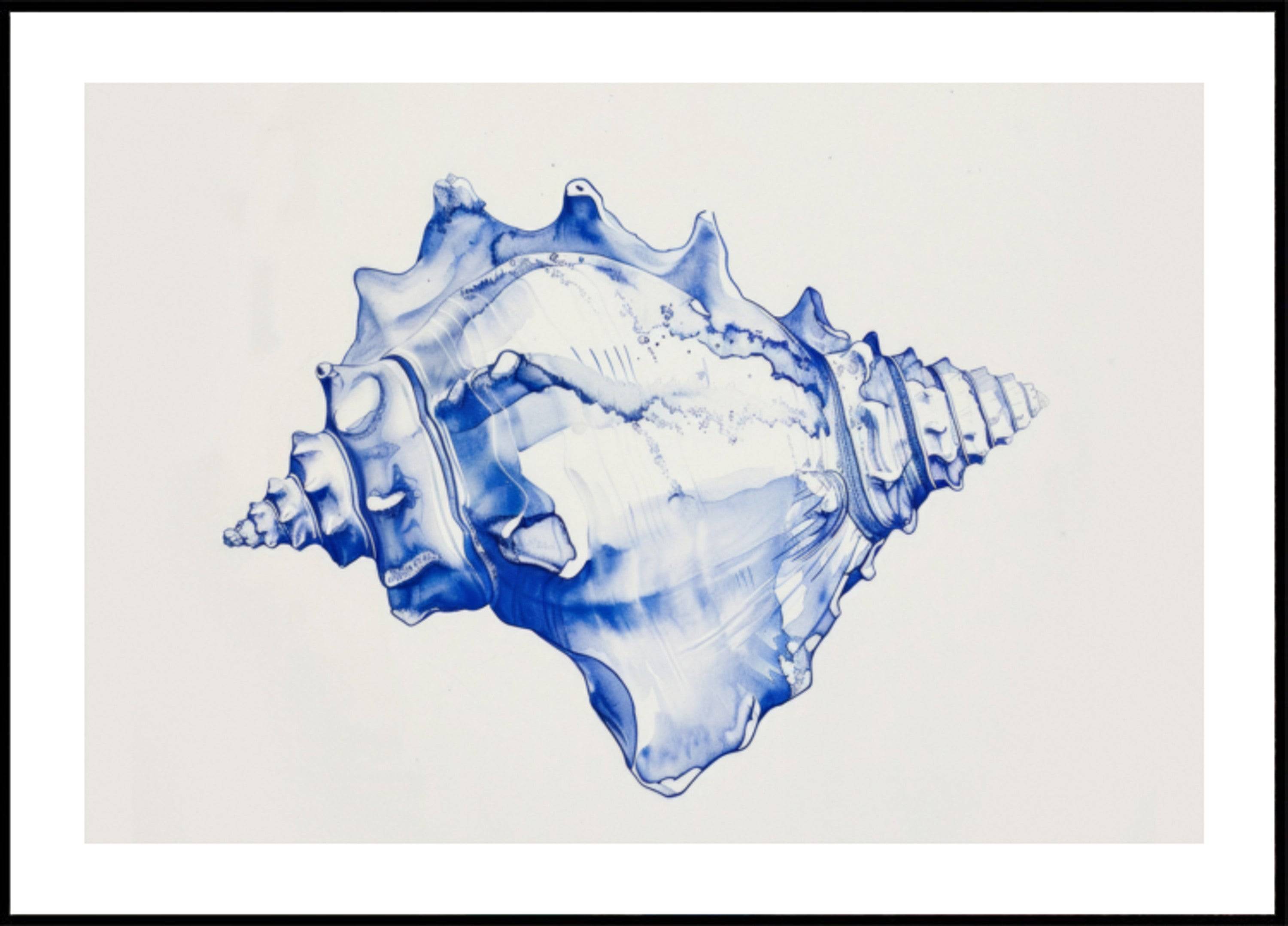 Blue Conch Harmony (50x70) - Plakater > Osorterade verk, BD