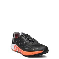 Adidas Terrex Terrex Agravic Flow 2 Gtx Svart
