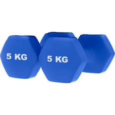 asg neoprene hantlar 2 x 5 kg