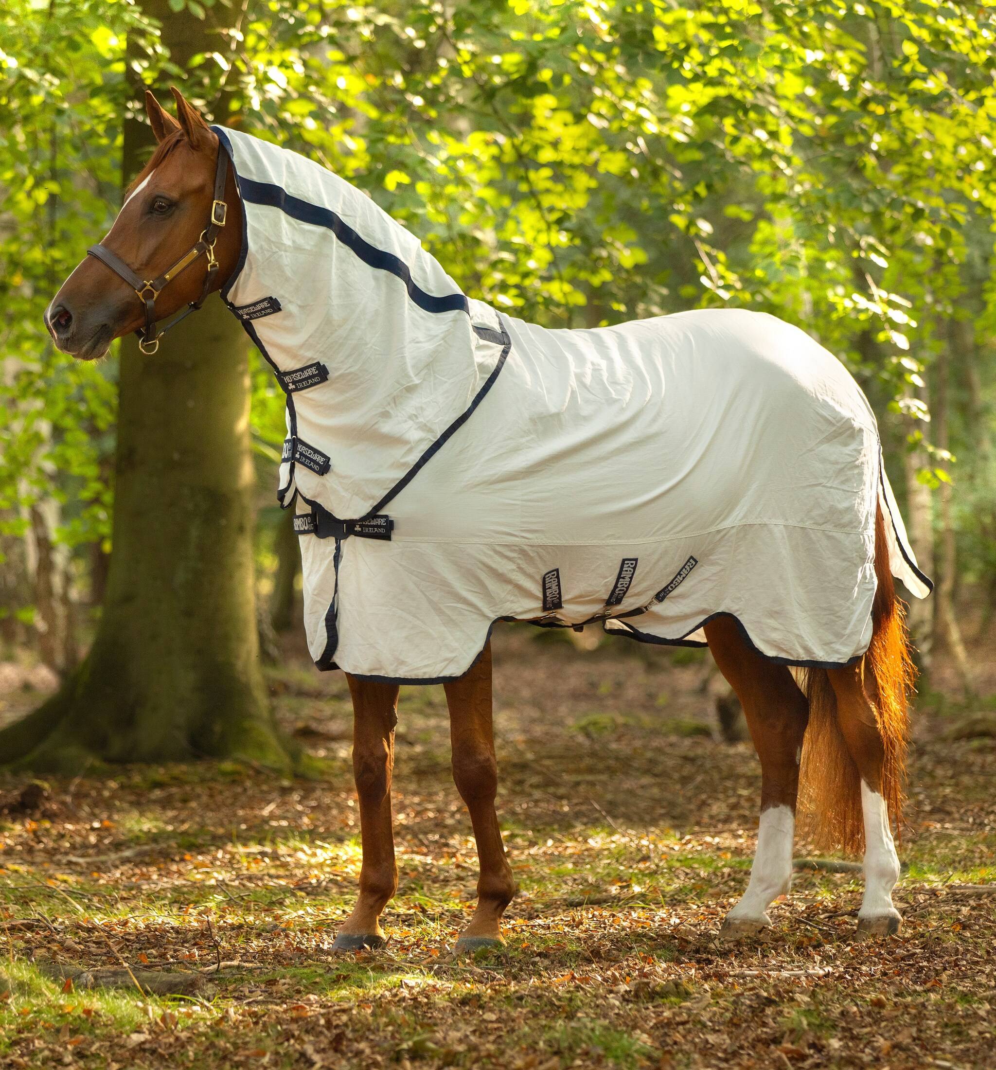 Rambo Natura Summer Sheet, Horseware.