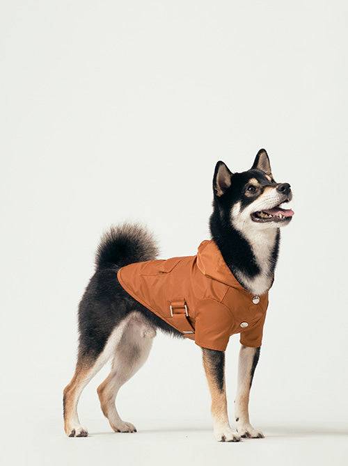 Orange Dog Raincoat | Water-Repellent & High Visibility | PEHOM - Small (Small)
