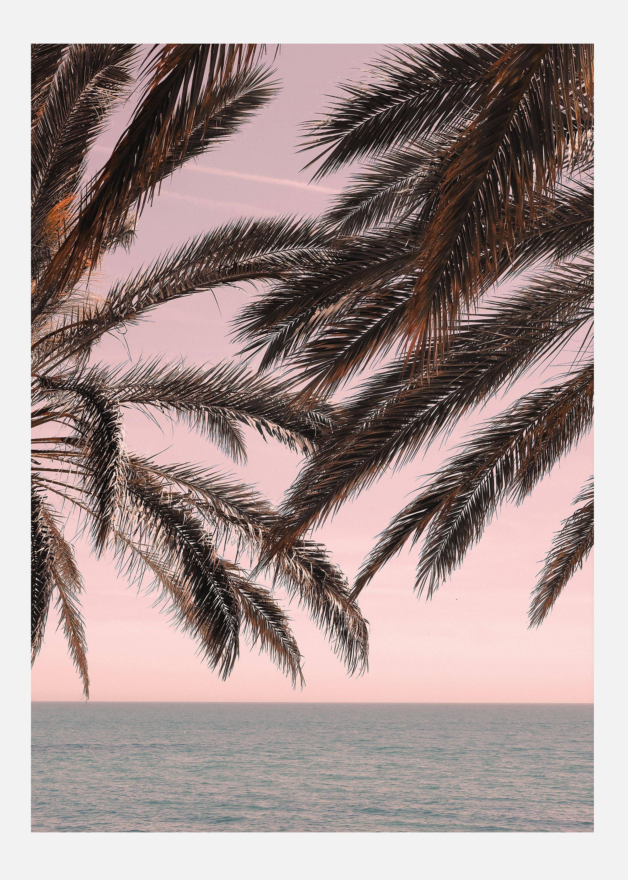Palm Beach III Canvastavla (30x40 cm)