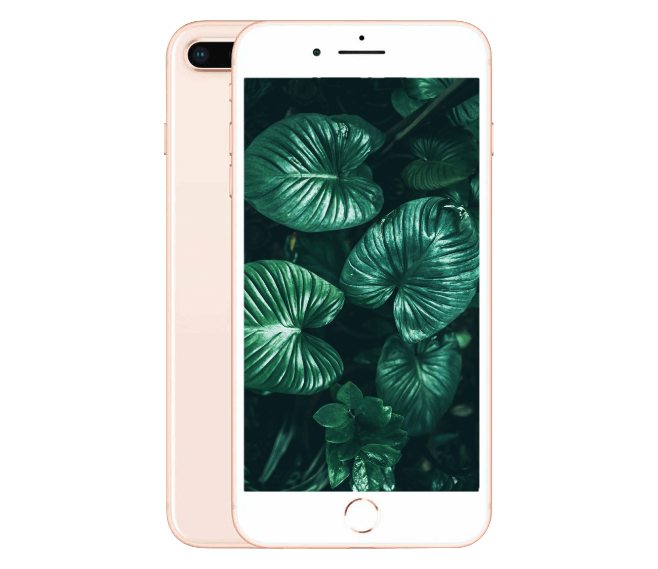 iPhone 8 Plus