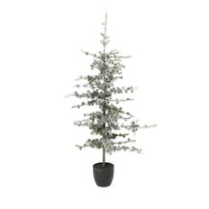 Yule cedertræ m. LED