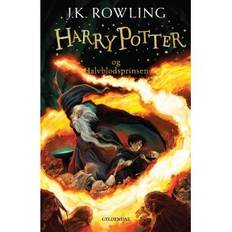 J. K. Rowling, Harry Potter 6 - Harry Potter og Halvblodsprinsen