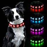 AUAUY Light Up Hundhalsband, LED Hund Halsband Light Usb Uppladdningsbart, Vattentätt Blinkande PVC Läder Justerbart Glödande Super Bright Light Up Hundhalsband För Mörka Små Medelstora Hundar