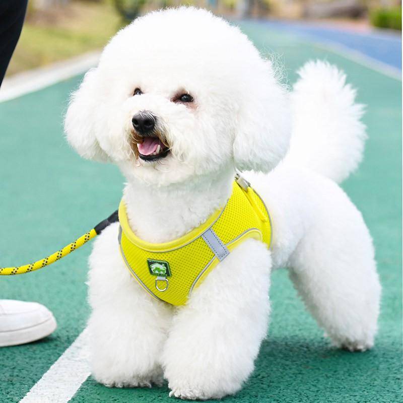 Adjustable Mesh Harness Small Dogs Poodle Teddy Shih Tzu Puppy Breathable Vest Style Leash Set