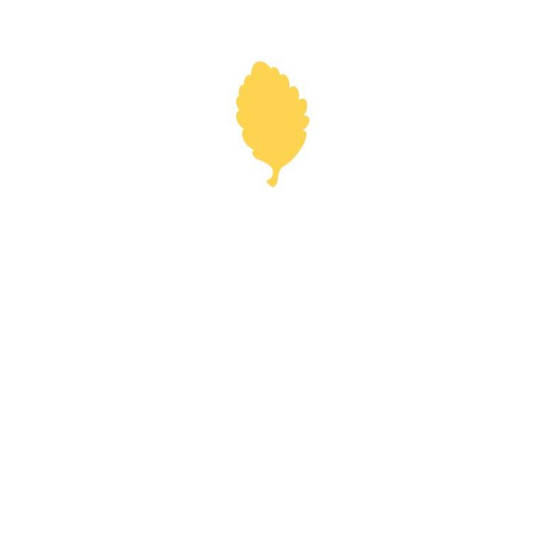 Punch - 2,5cm - Birch Leaf
