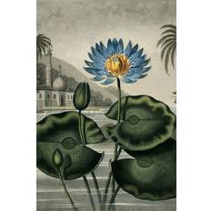 The Dybdahl Co. - Affisch Blue Egyptian - Vit