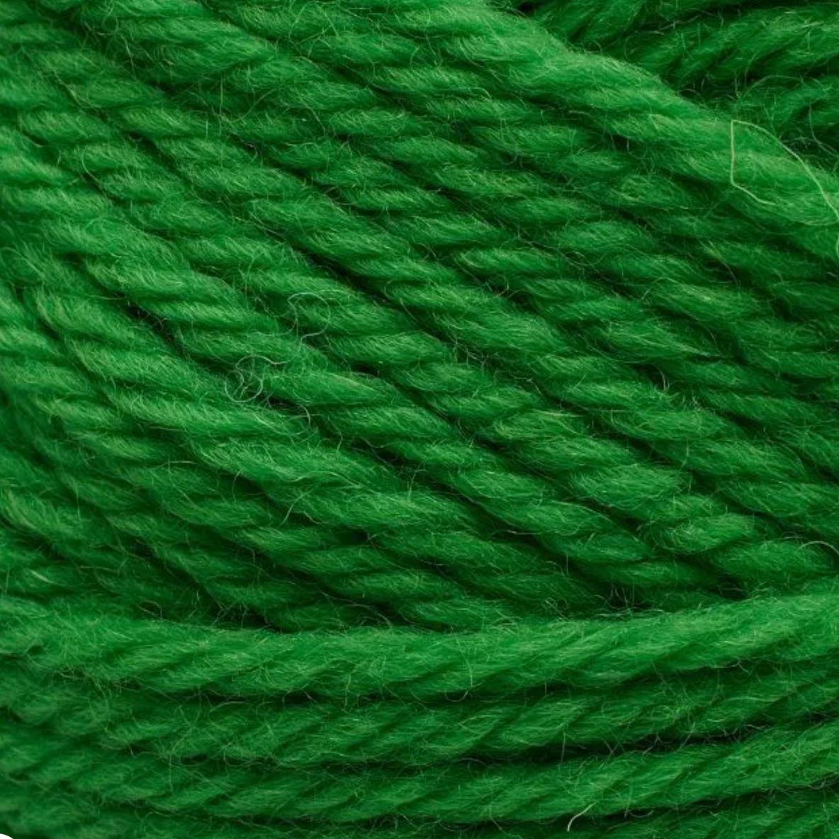 Peruvian Highland Wool │ Filcolana - 279 Juicy Green