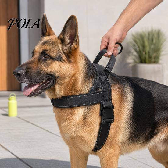 Liten Hundsele Anti-drag med Handtag, Justerbar Reflekterande Sele, Kraftig Stabil Gående Vadderad Nylon för Medelstora Stora Hundar Träning