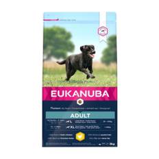 Eukanuba Adult Large Breed M/Kylling - 12 kg