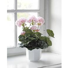 Kunstig Pelargonie Hvid