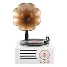 Bluetooth-högtalare retro grammofonformad bärbar lådhögtalare utomhus Fm subwo för ljud musik Mp3 Tf radiosystem P5l5