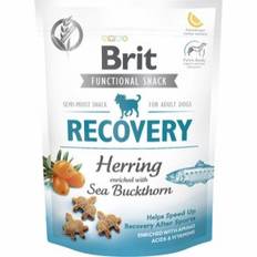 Brit recovery hundesnacks med sild og havtorn