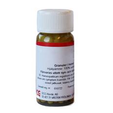 Magnesium carbonicum (St.)