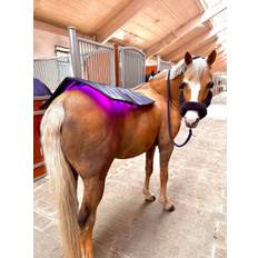 Equine LTS - Topline - NYHED 2025