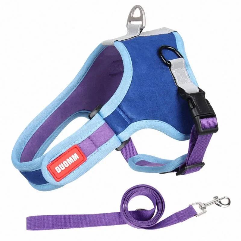 Reflective Dog Harness & Leash Set - Nylon Vest Harness for All Sizes - Blue / Small (Small)