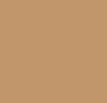 USAF TAN