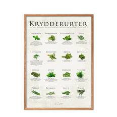 POSTER & FRAME Krydderurter |Multi/patterned |50X70 cm