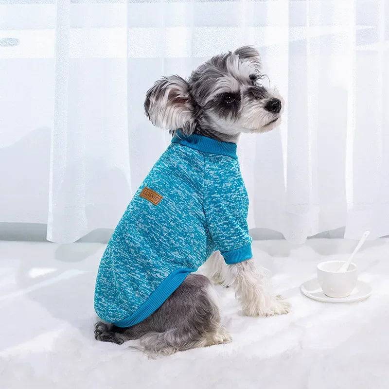 Winter Pet Jacket - Warm Coat for Dogs and Cats - Sky Blue / XS (XS)