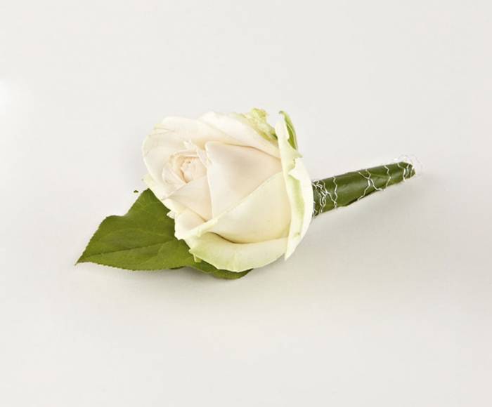 Knaphulsblomst, storhovedet rose.