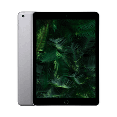 iPad 5 (2017) 9.7" WiFi + 4G