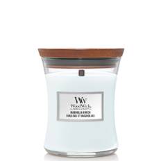 Magnolia Birch Candele in Vetro Media 275 gr