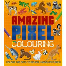 Amazing Pixel Colouring Colour The Dots To Reveal Hidden Pic - Dan Crisp - 9781398841369