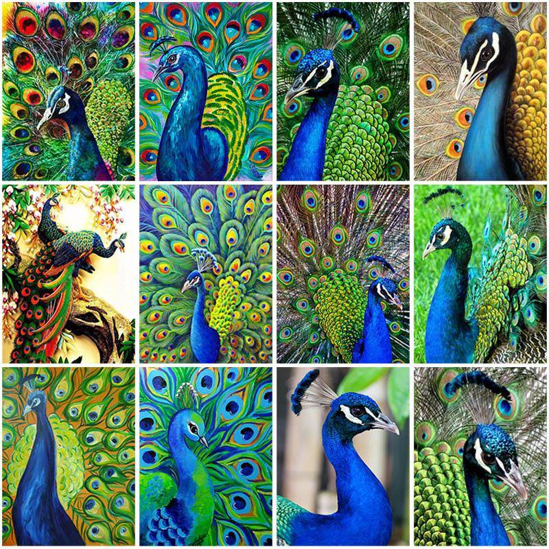 DIY PEACOCK 5D Diamantmålning Hel Rund Borr FÅGLAR Diamantbroderi Korsstygn Mosaiksatser Harts Väggkonst Heminredning