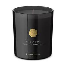 Wild Fig Scented Candle