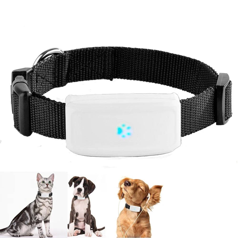 Compact Pet GPS Tracker - With Original Box