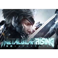 Metal Gear Rising: Revengeance PC Steam CD Key