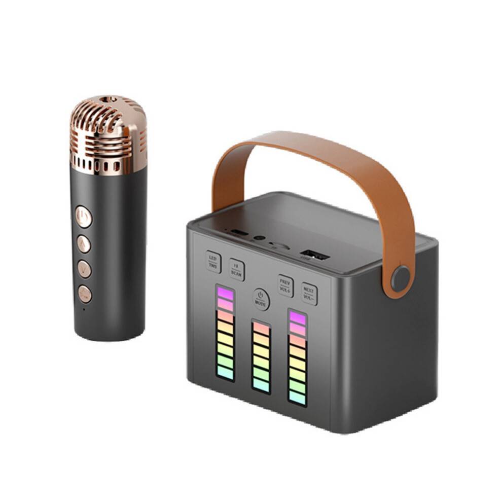 PAVEOS Nyt Bluetooth Karaoke Lydsystem med Mikrofon, LED-lys og flere lyseffekter, Udendørs Højttaler Sort