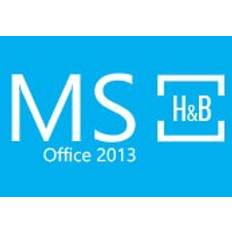 MS Office 2013 Home and Business OEM Key