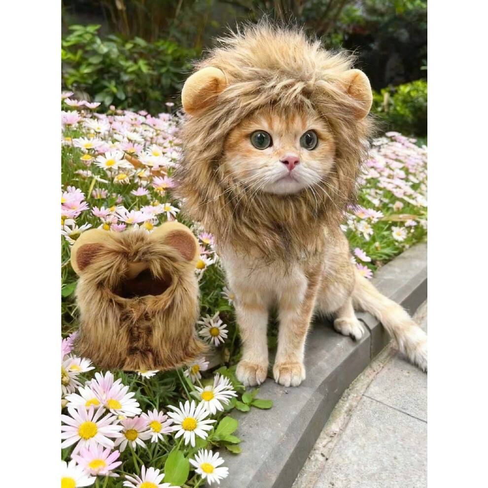 Løvehat med ører – Katte- og hunde-cosplaykasket, størrelse S
