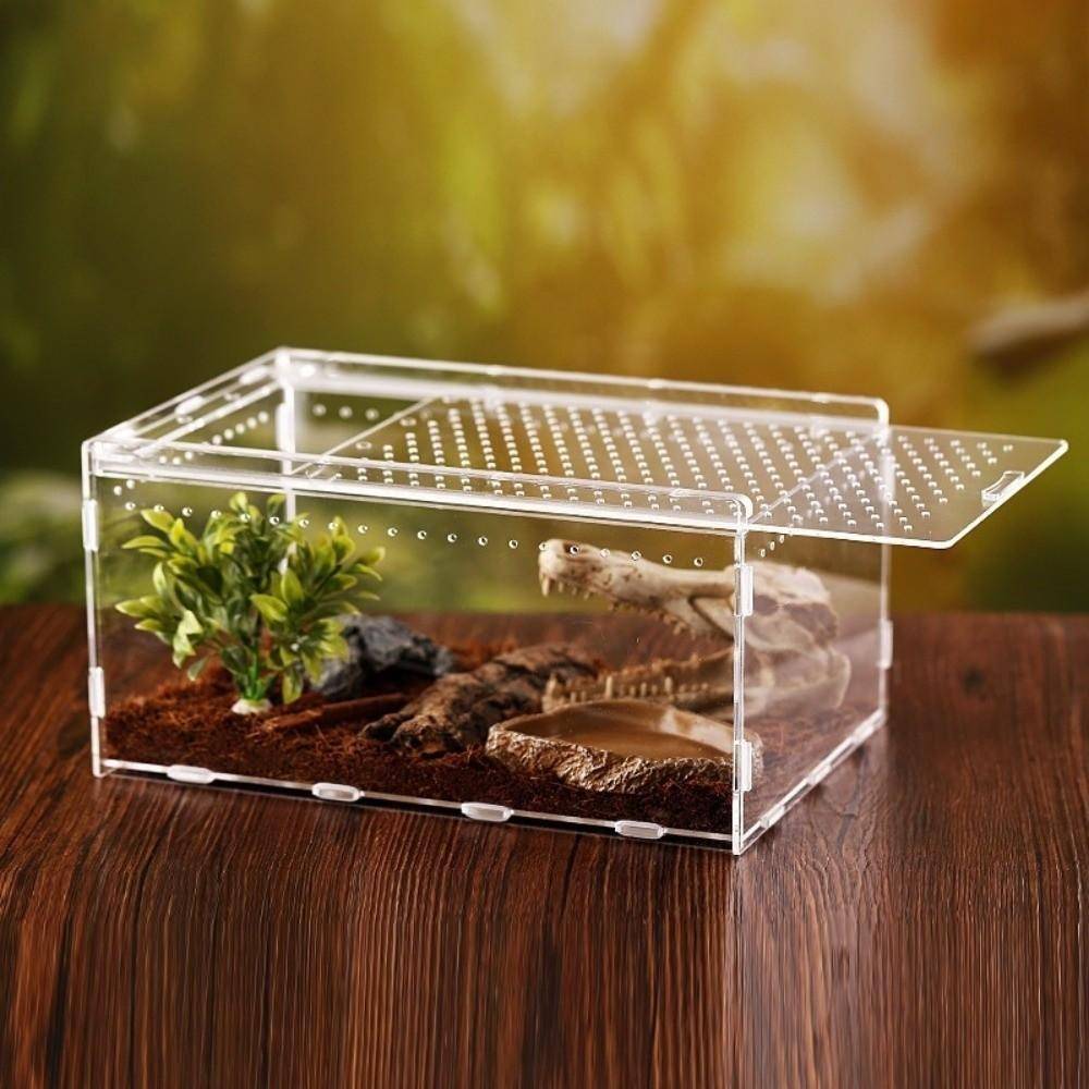 Akryl Reptil Terrarium Ventilerat Gecko Hus Habitat Ny Reptilkoja för Orm