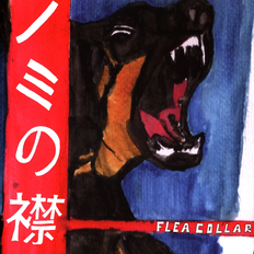 Flea Collar